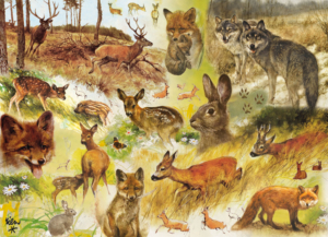 Puzzel (1.000 stukjes): Drawn to Nature, Rien Poortvliet