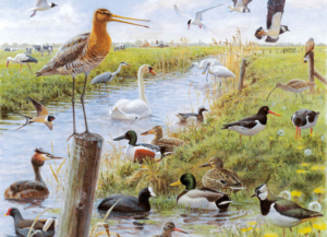 Puzzel (1.000 stukjes): Vogels, Elwin van der Kolk, Vogelbescherming Nederland – Natuurpunt