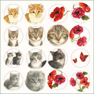 Kaartenmapje met env, vierkant: Kittens & Poppies, Francien van Westering
