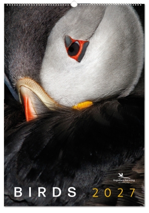 Birds posterkalender 2027, Vogelbescherming