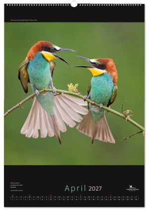 Birds posterkalender 2027, Vogelbescherming