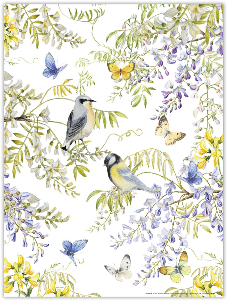 Poster: Vogels in blauweregen, Janneke Brinkman-Salentijn