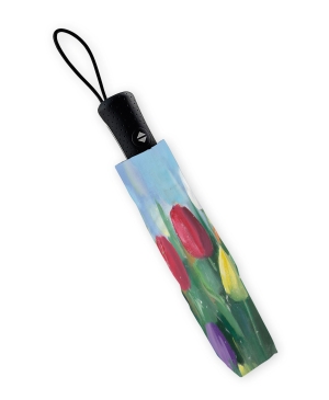 Vouwparaplu:Tulipfields, Sietse Wiersma