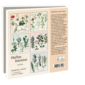 Kaartenmapje met env, vierkant: Stoepplantjes, Hortus botanicus Leiden