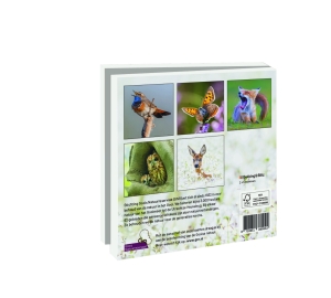 Kaartenmapje met env, vierkant: Koester ons groene thuis, Goois Natuurreservaat