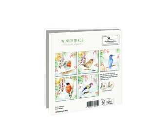 Kaartenmapje met env, vierkant: Winter Birds, Michelle Dujardin, Vogelbescherming