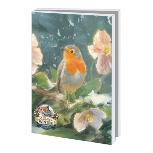 Kaartenmapje met env, groot: A Robins Winter, Elwin Van Der Kolk