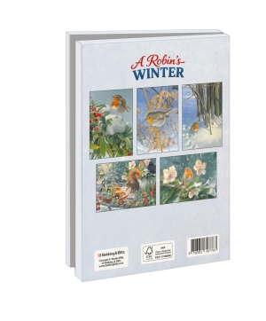 Kaartenmapje met env, groot: A Robins Winter, Elwin Van Der Kolk